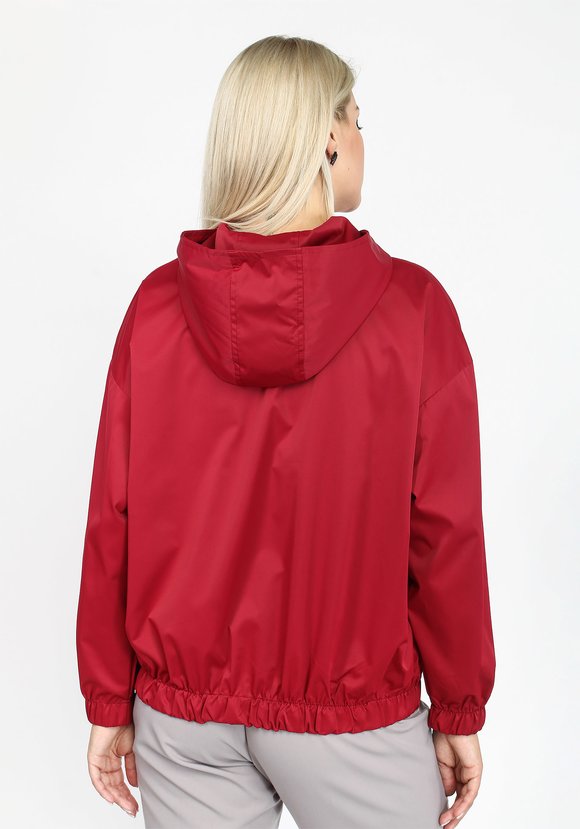 Ветровка с капюшоном на молнии шир.  580, рис. 15