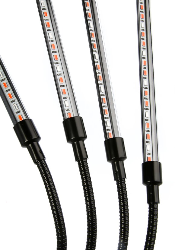 Фитолампа для растений на прищепке шир.  580, рис. 5