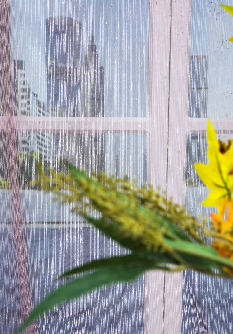 Тюль с блеском Княжна шир.  750, рис. 3