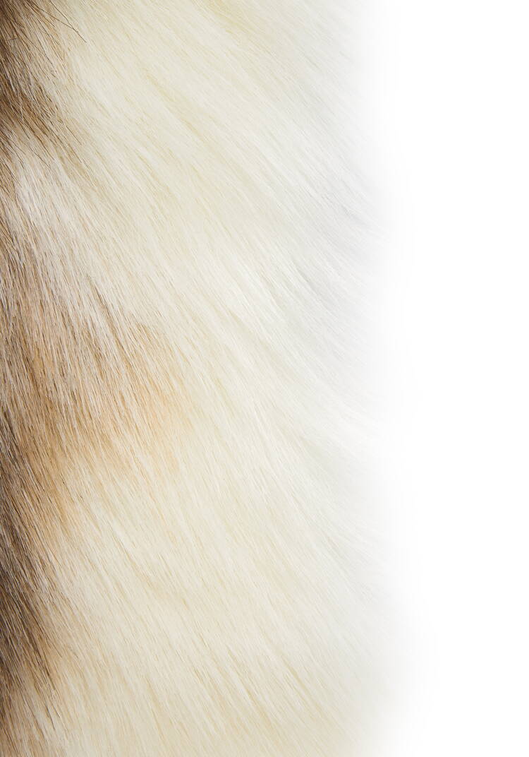 Ковер меховой Олень шир.  750, рис. 2