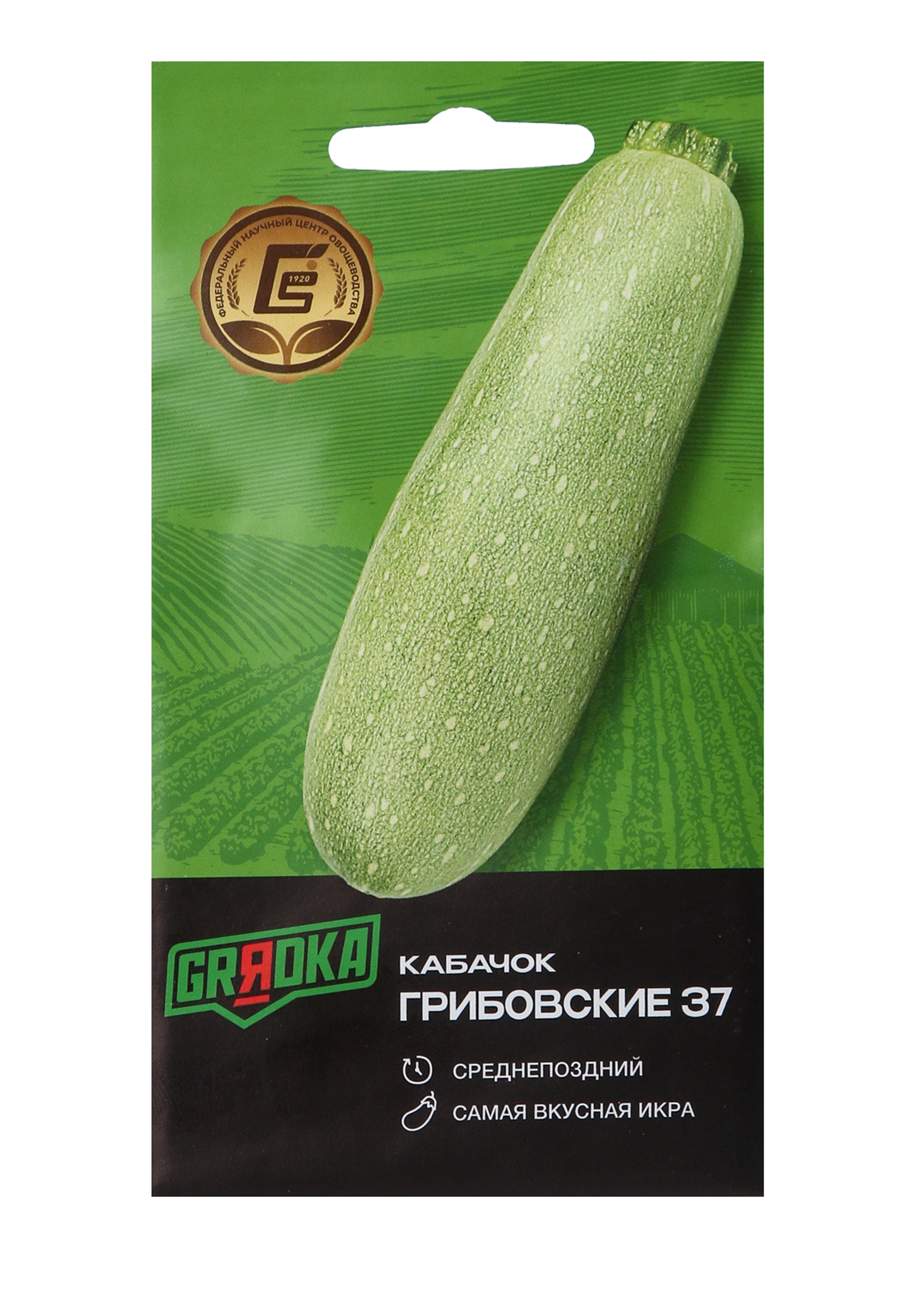 Всем по тыкве. Выращиваем, ухаживаем и едим