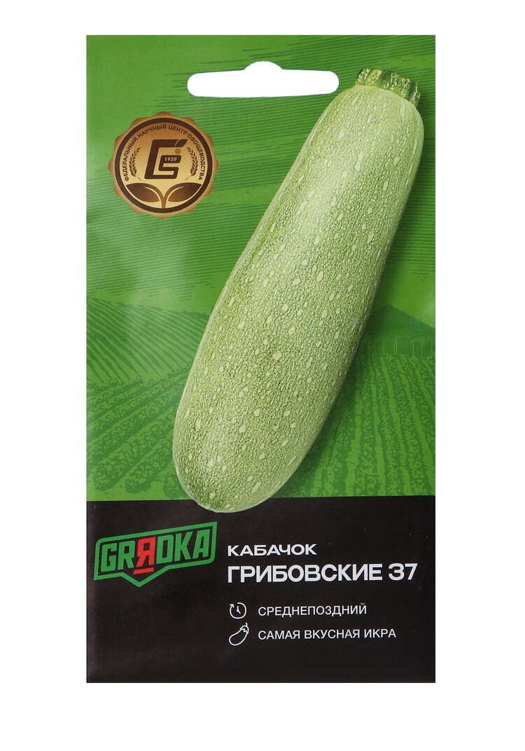 Всем по тыкве. Выращиваем, ухаживаем и едим шир.  750, рис. 4