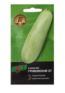 Всем по тыкве. Выращиваем, ухаживаем и едим