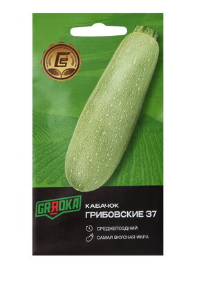 Всем по тыкве. Выращиваем, ухаживаем и едим