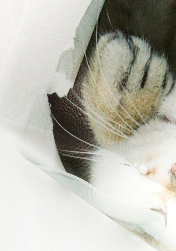 Наклейка интерьерная 3D Три кошки шир.  580, рис. 6